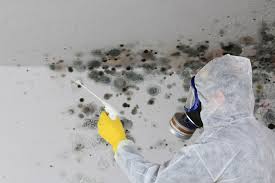 Reliable Milroy, PA Mold Inspection Solutions